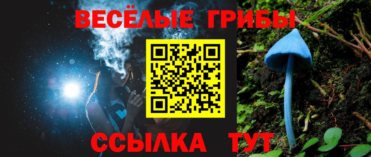 Псилоцибиновые грибы мицелий Реутов